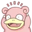 DDshub